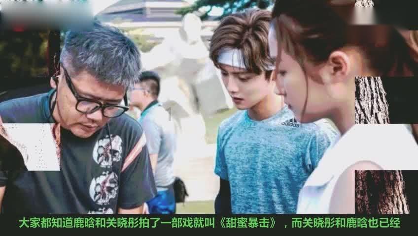 洛亚蒂群岛在哪里?-专业问答|解答你的疑惑-洛亚蒂群岛在哪里?网站